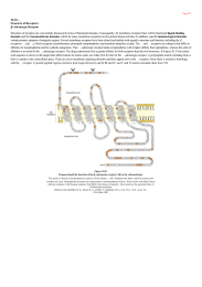 Structure of Receptors betaAdrenergic Receptor