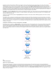 Micelles and Liposomes