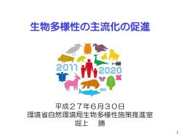 堀上勝 - 地球環境パートナーシッププラザ