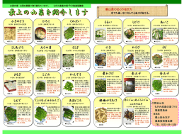山菜料理パンフレット（PDF）