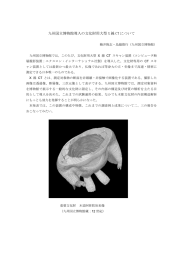 九州国立博物館導入の文化財用大型 X 線 CT について