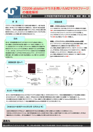 CD206-ablationマウスを用いたM2マクロファージ の機能解析