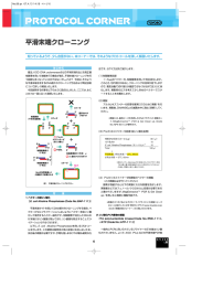 PROTOCOL CORNER：平滑末端クローニング