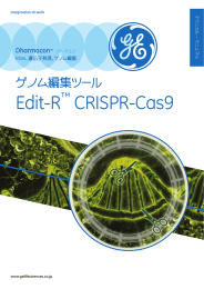 ゲノム編集ツール Edit-R CRISPR-Cas9