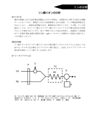 リンの分析 リン酸イオンの分析