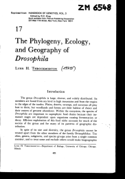 The Phylogeny, Ecology, and Geography of Drosophila