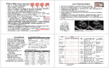 N:\ ＊H25石橋賢一\2013g後期\g2013薬治3\2014