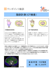 ワンポイント検診 脂肪計測（CT検査）
