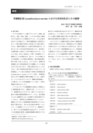 単細胞紅藻 Cyanidioschyzon merolae における窒素同化系とその制御