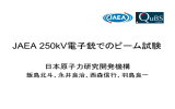 JAEA 250kV電子銃でのビーム試験