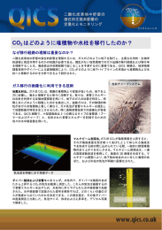 CO2 はどのように堆積物や水柱を移行したのか？