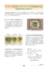 ダンボール箱を使ったチンゲンサイの保冷輸送方法は 高温期の黄化を