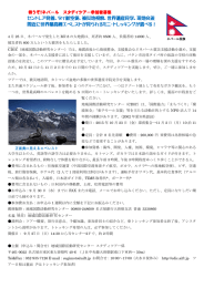 セントレア発着、タイ航空便、被災地視察、世界遺産見学、現地交流 間近