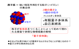 第13回（7月22日）