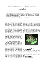 簡易ゲル電気泳動装置の開発と