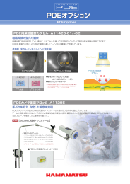 PDEオプション PDEオプション