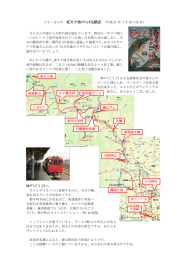 とも・さちの 夜叉ケ池ﾏﾗﾆｯｸ完踏記 (平成 21 年 7 月 25～26 日)