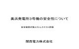 美浜発電所3号機の安全性について