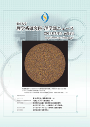 （PDF）のダウンロードはこちら - 東京大学 大学院理学系研究科・理学部