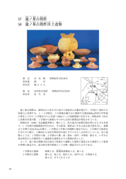 瀧ノ峯古墳群(PDF:1146KB)