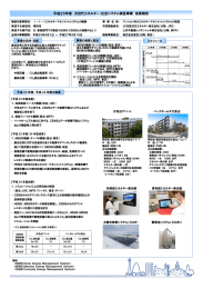 平成25年度 次世代エネルギー・社会システム実証事業 成果報告