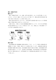 鎖肛（直腸肛門奇形） 鎖肛とは？ 鎖肛（直腸肛門奇形）とは，直腸、肛門