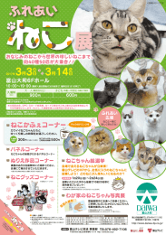 Page 1 ※写員はイメージです おなじみのねこから世界の珍しいねこまで