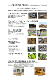 ④しいたけ狩り ⑤たけのこ堀り ⑤美術館見学（鶴岡義雄館・渡辺安友館