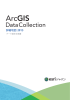 ArcGIS データコレクション 詳細地図 2015 データ基本