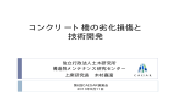 コンクリート橋の劣化損傷と 技術開発