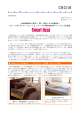 セシールが『スマートヒート』シリーズの寝具(2012年バージョン)を発売