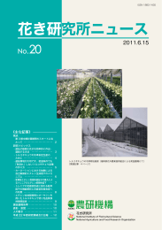 花き研究所ニュース No.20 - 農研機構