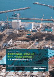 東京電力福島第一原発からの 海洋への放射能汚染水流出