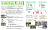 ピノ＆アチェロ 平成25年7月号