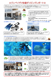 今回のレポートは、これからが本番のダイビングコースの中から美ら海