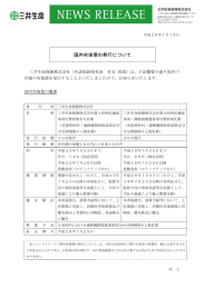 国内劣後債の発行について