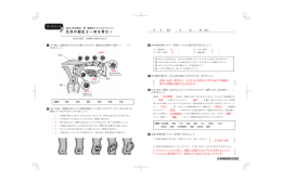 生命の誕生2∼命を育む∼
