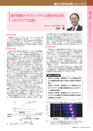 温度分布制御型マイクロフローリアクタによる燃焼化学反応の研究