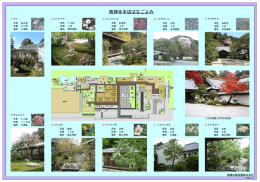 南禅寺本坊はなごよみ - 植彌加藤造園株式会社