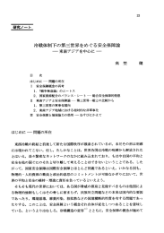 冷戦体制下の第三世界をめぐる安全保障論