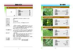 図鑑の見方 夏の植物 - Advantest