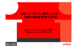SAP ビッグバン導入による 戦略的経営管理の実現