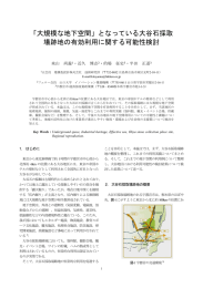 「大規模な地下空間」となっている大谷石採取 場跡地の有効利用