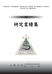 2014年 (5.0MB PDF)