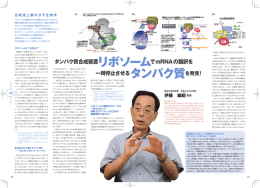 タンパク質を発見！