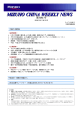 全文をダウンロード - 中国大陸の会計税務コンサルティング｜星海財務