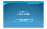 第6回COBIT 5講習会1008（PDF 3.7M