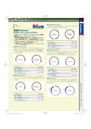 植物用 Gateway デスティネーションベクター