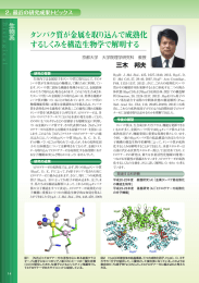 タンパク質が金属を取り込んで成熟化 するしくみを構造生物学で解明する