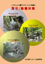落石 /崩壊対策 - くさび型アンカー工法研究会